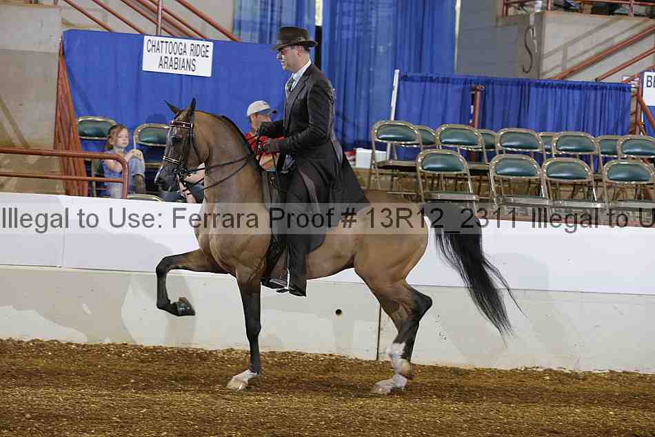 Proof Number 13r12_2311