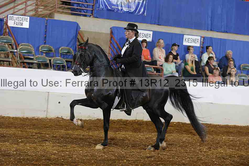 Proof Number 13r12_2315