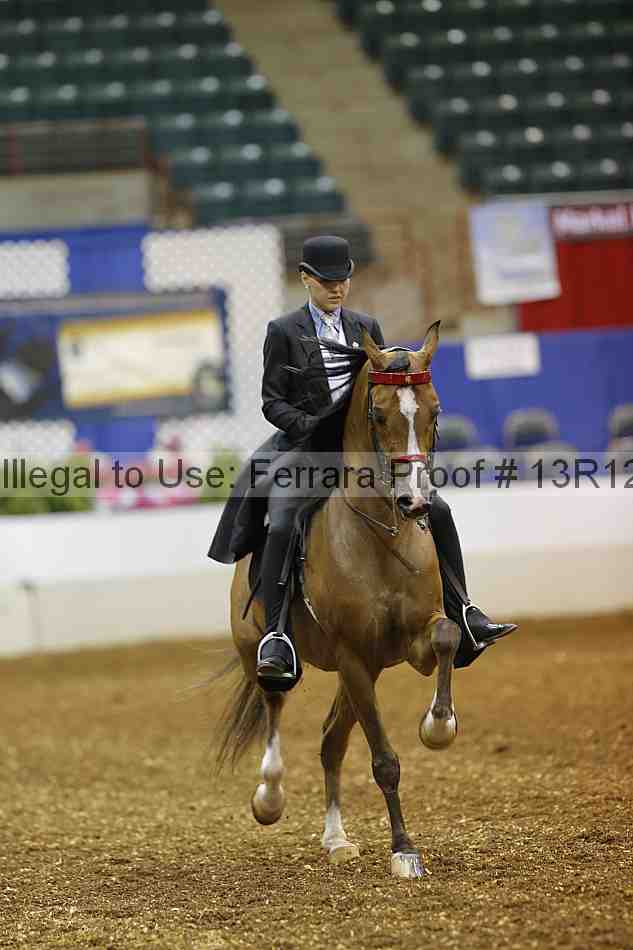 Proof Number 13r12_2316