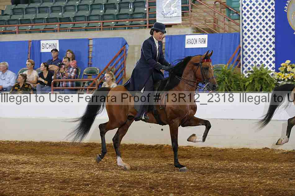 Proof Number 13r12_2318