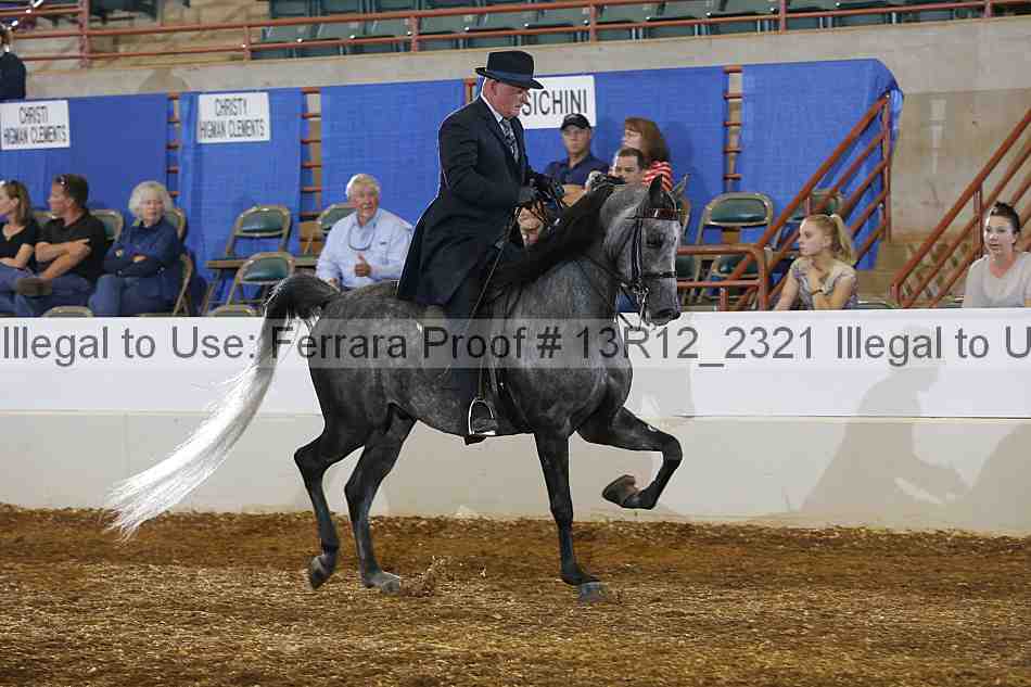 Proof Number 13r12_2321