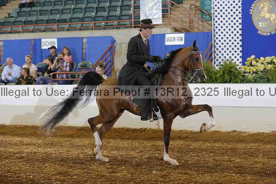 Proof Number 13r12_2325