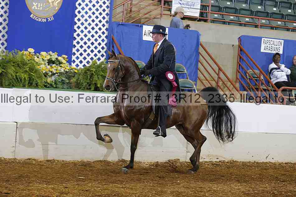 Proof Number 13r12_2335