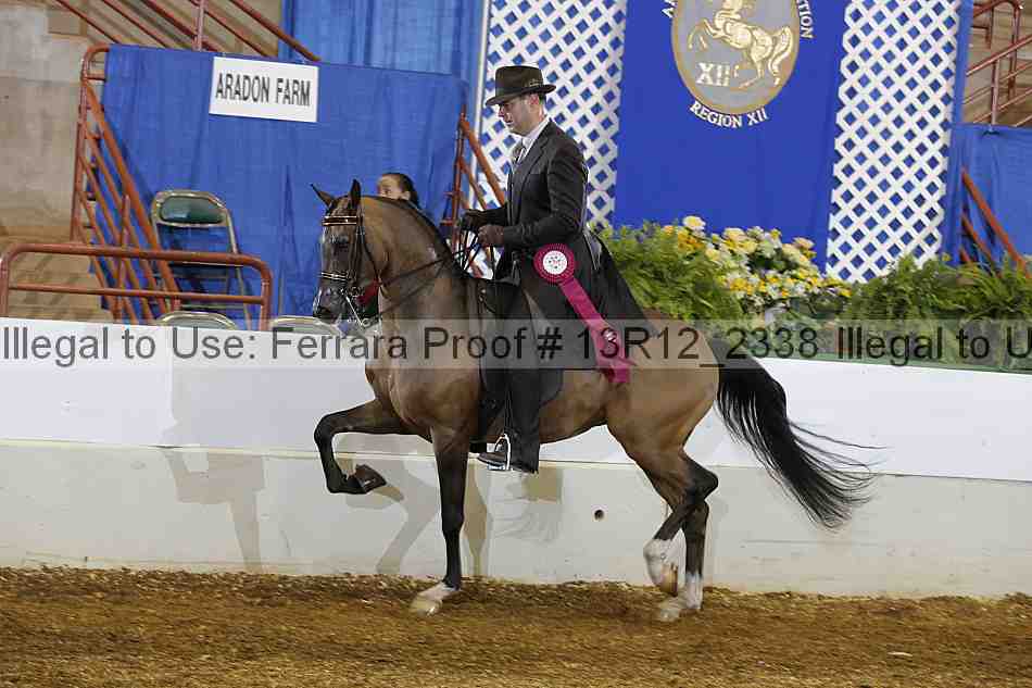 Proof Number 13r12_2338