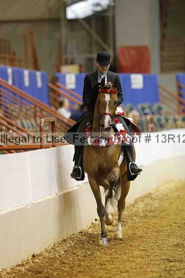 Proof Number 13r12_2345