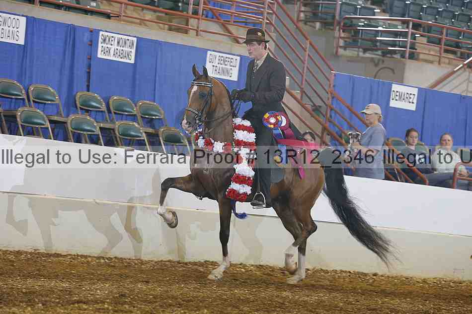 Proof Number 13r12_2346