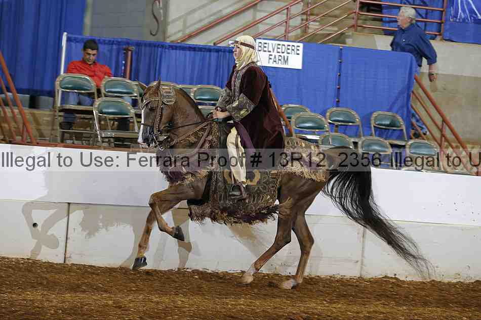 Proof Number 13r12_2356
