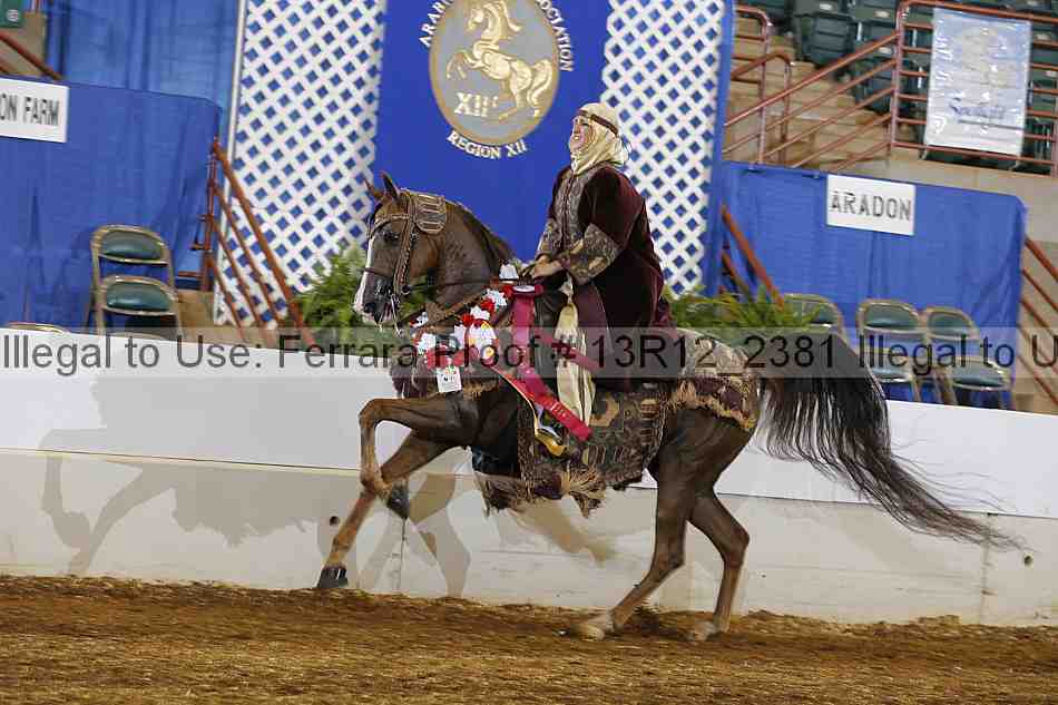 Proof Number 13r12_2381