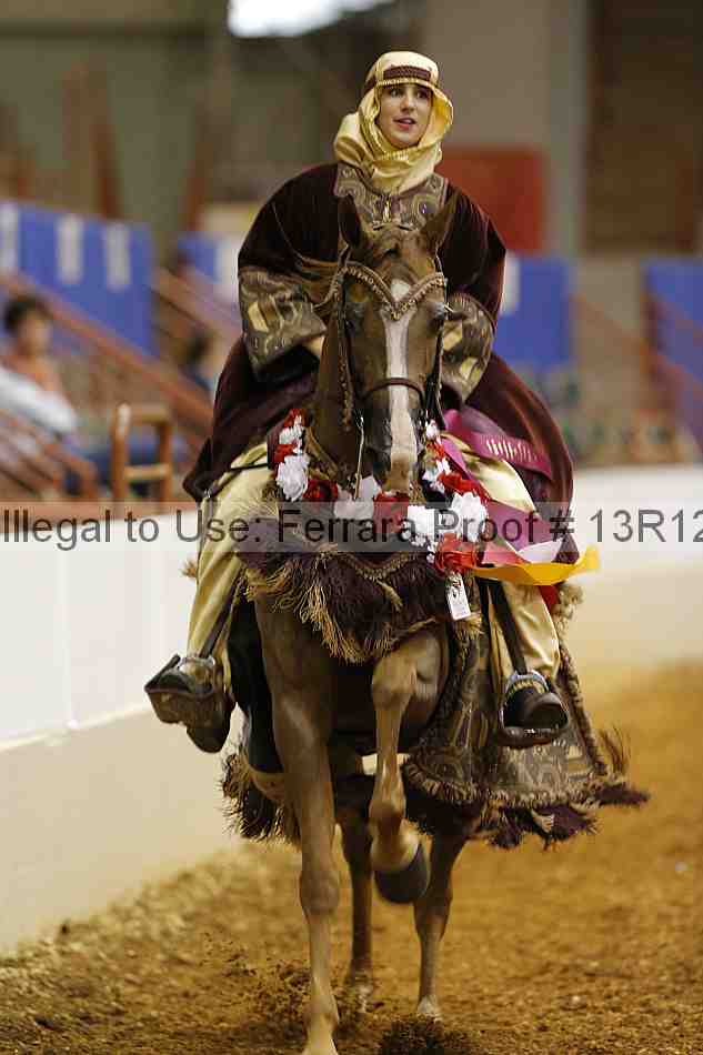 Proof Number 13r12_2382