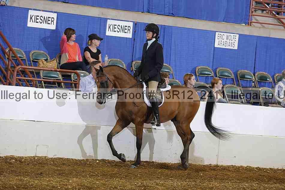 Proof Number 13r12_2411