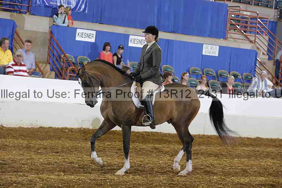 Proof Number 13r12_2431