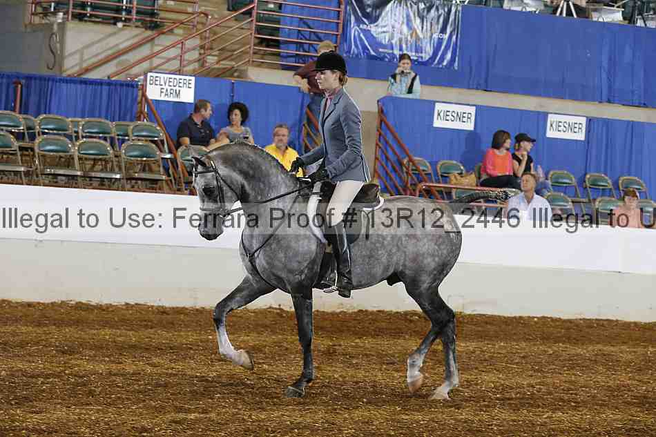 Proof Number 13r12_2446