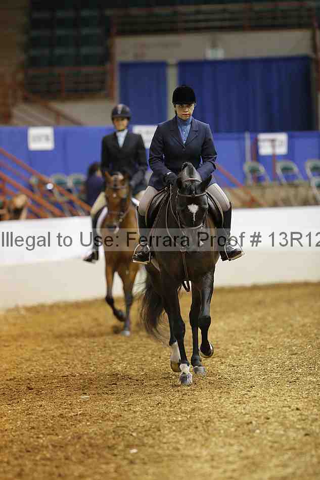 Proof Number 13r12_2451