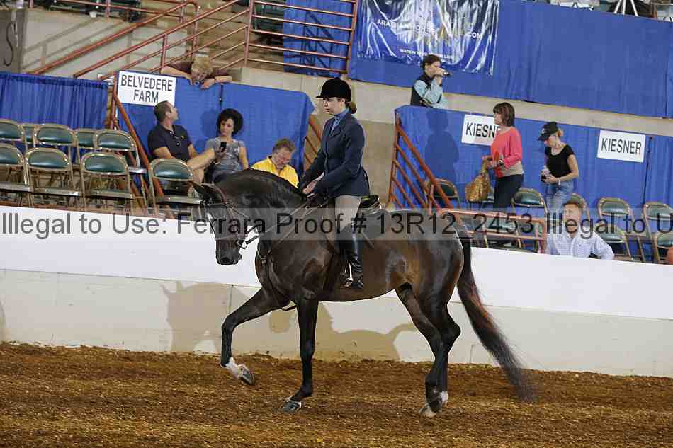 Proof Number 13r12_2453