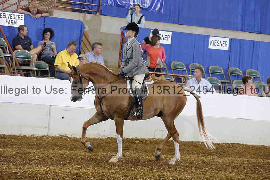 Proof Number 13r12_2454