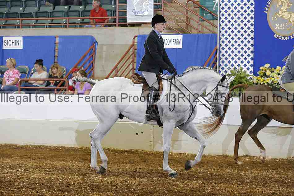 Proof Number 13r12_2458