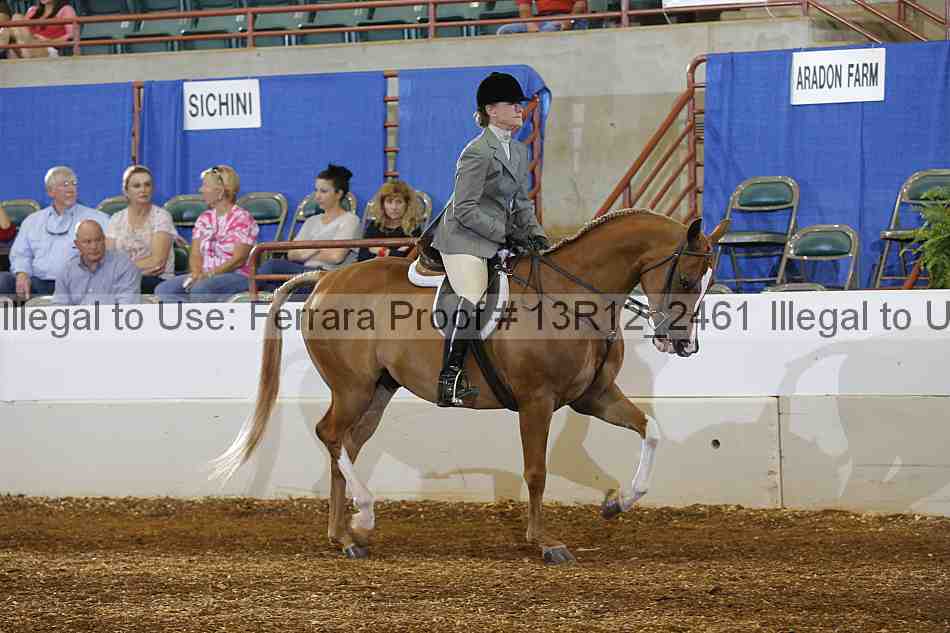 Proof Number 13r12_2461