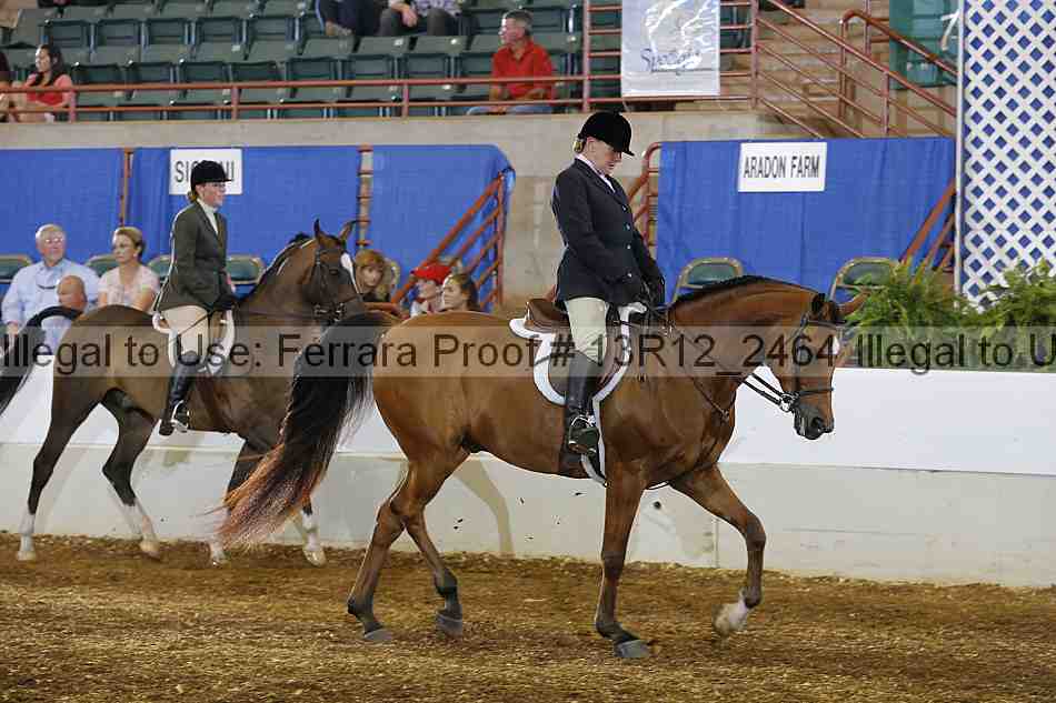 Proof Number 13r12_2464