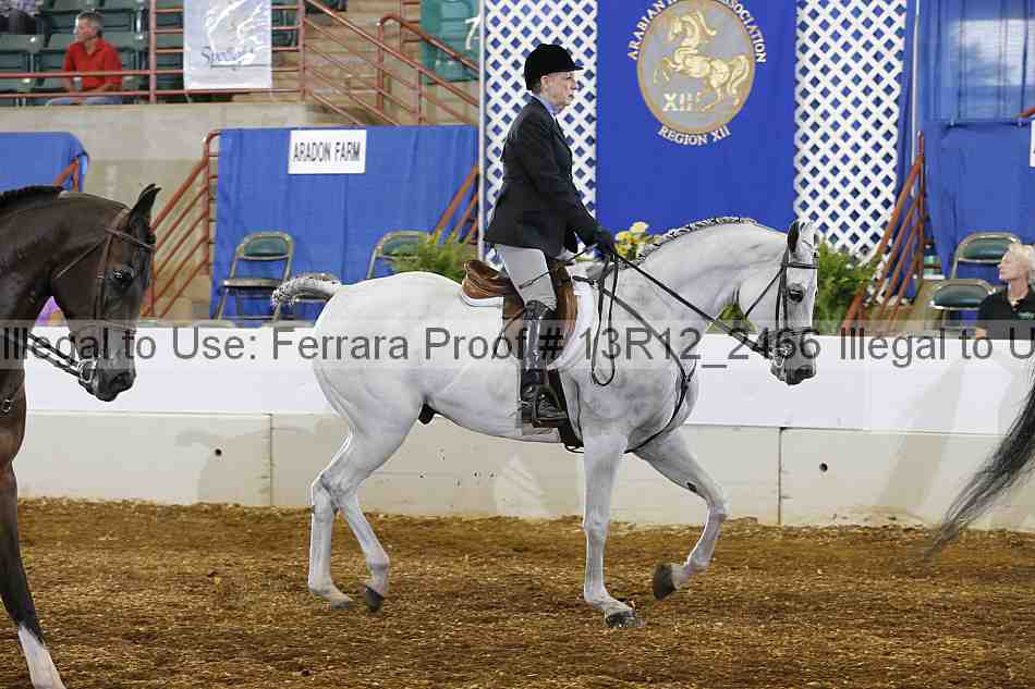 Proof Number 13r12_2466