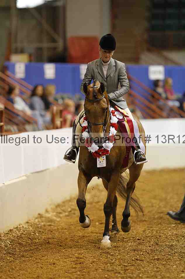 Proof Number 13r12_2471