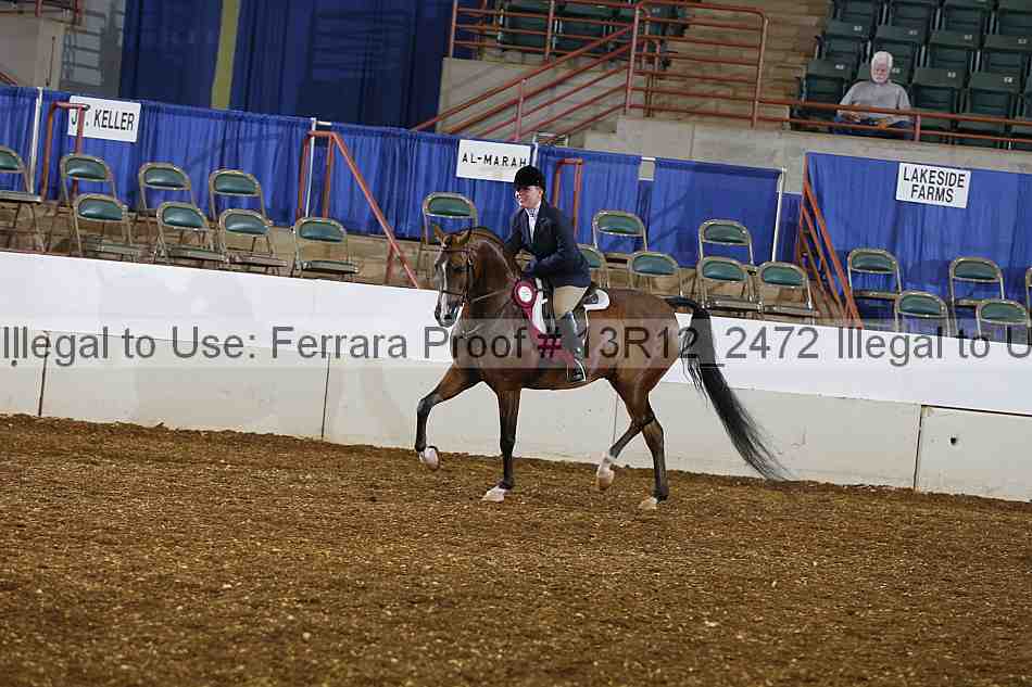 Proof Number 13r12_2472