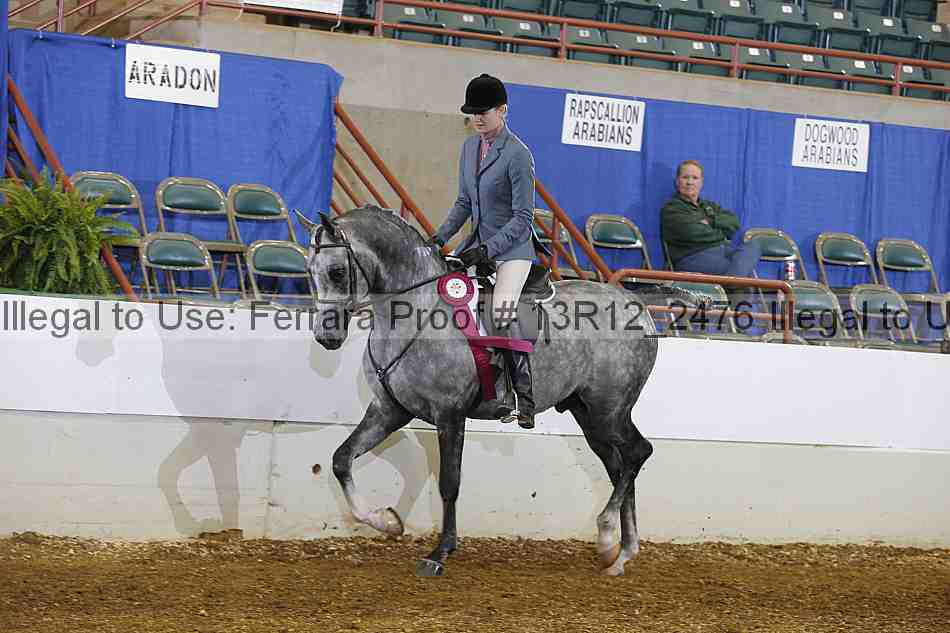 Proof Number 13r12_2476