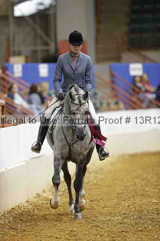 Proof Number 13r12_2479