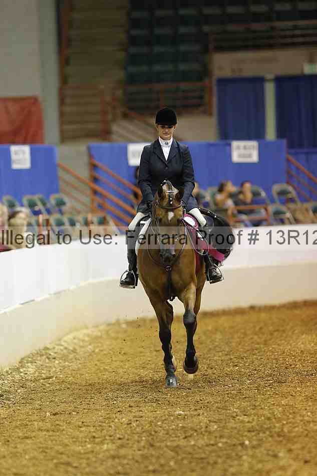 Proof Number 13r12_2483