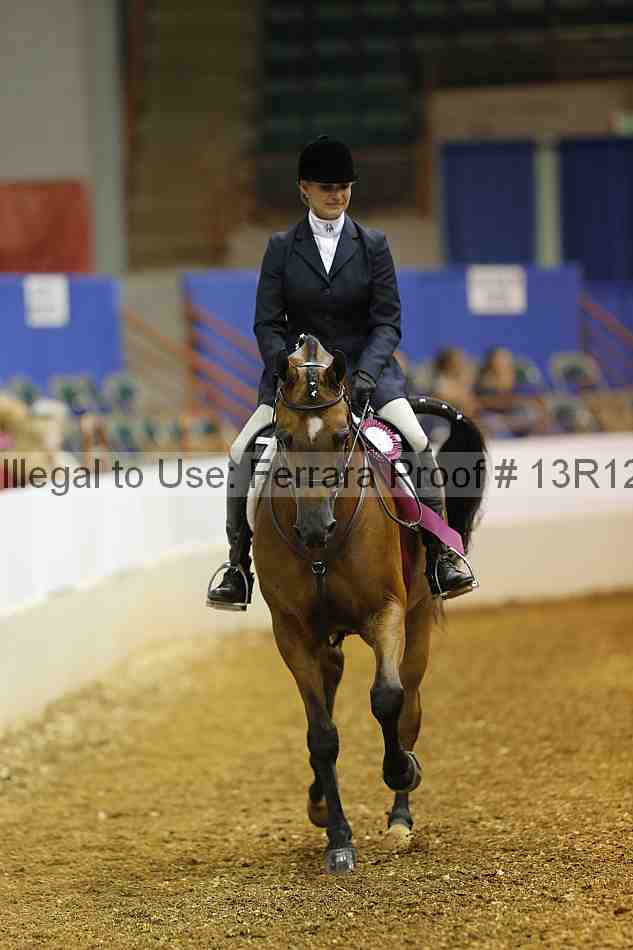 Proof Number 13r12_2484