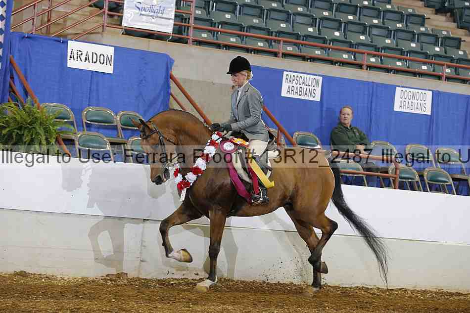 Proof Number 13r12_2487