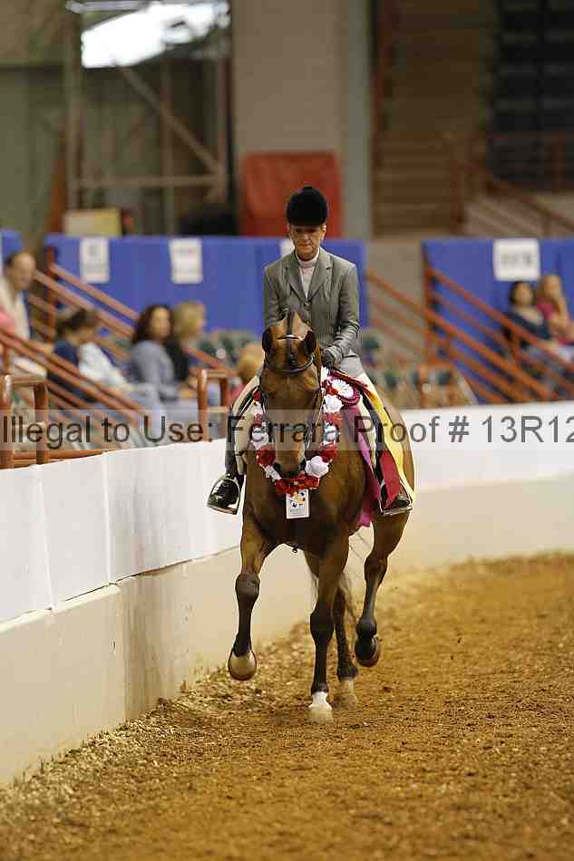 Proof Number 13r12_2489