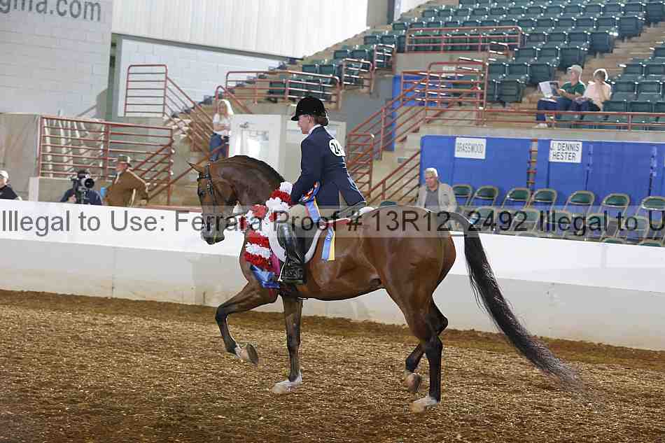 Proof Number 13r12_2492