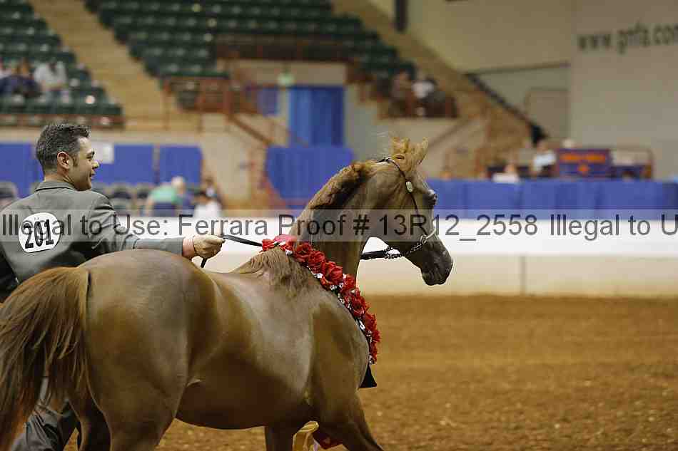 Proof Number 13r12_2558