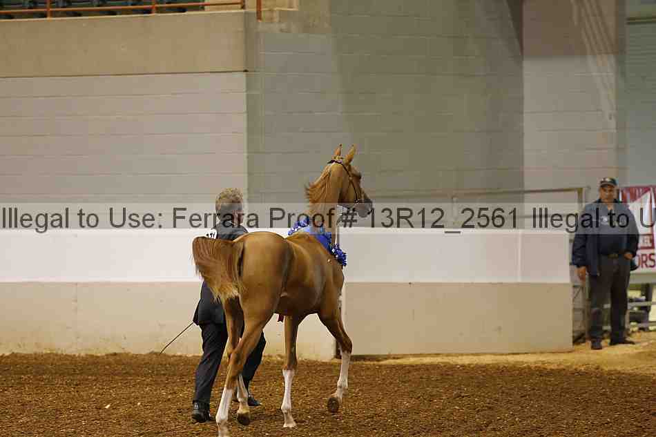 Proof Number 13r12_2561