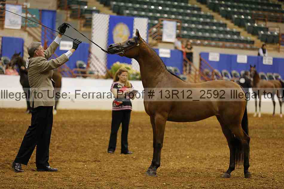 Proof Number 13r12_2592