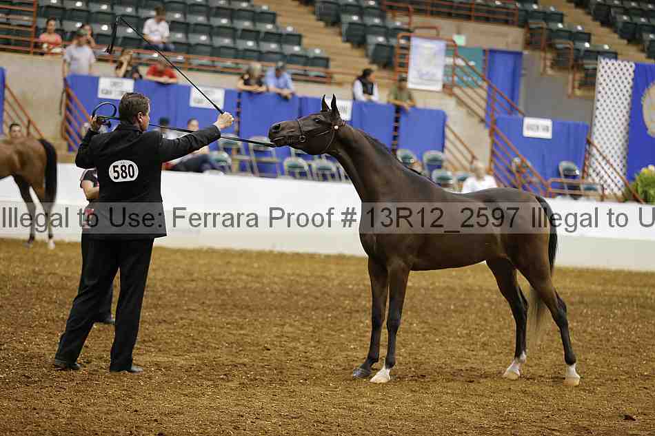 Proof Number 13r12_2597