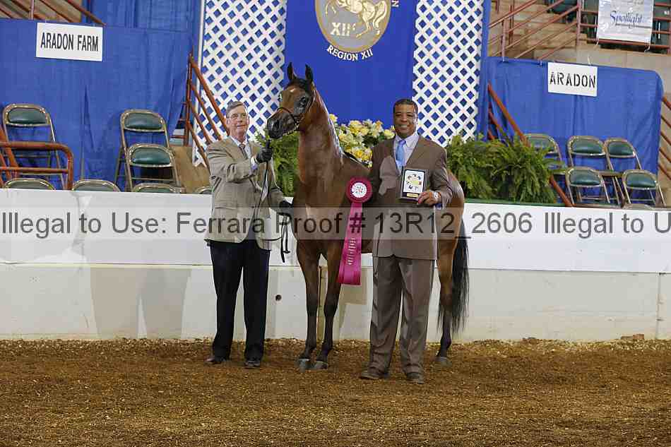 Proof Number 13r12_2606