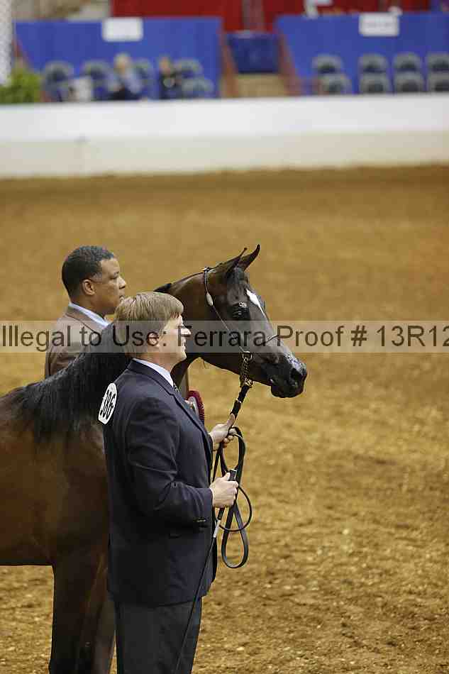 Proof Number 13r12_2612