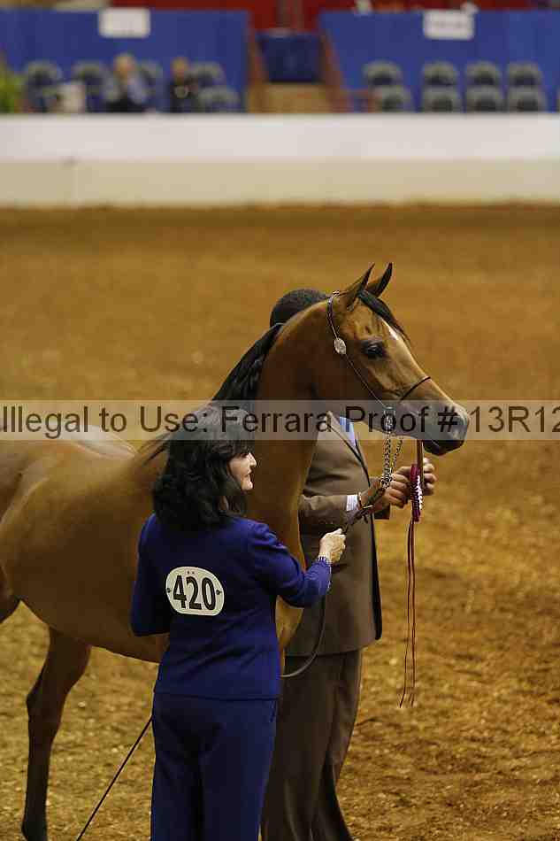 Proof Number 13r12_2615