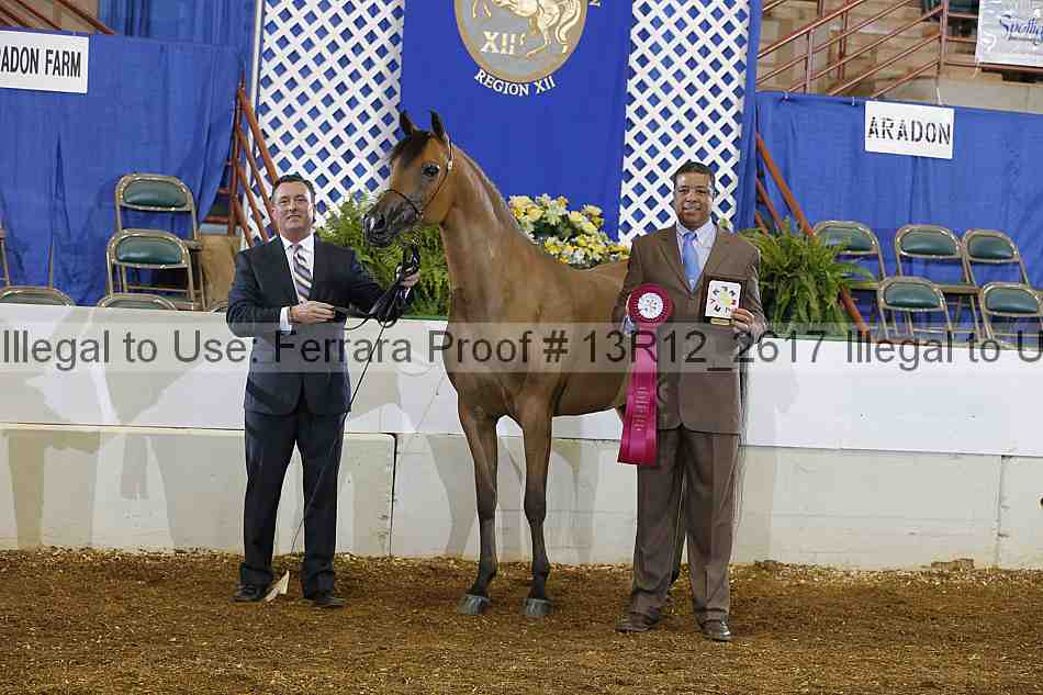 Proof Number 13r12_2617