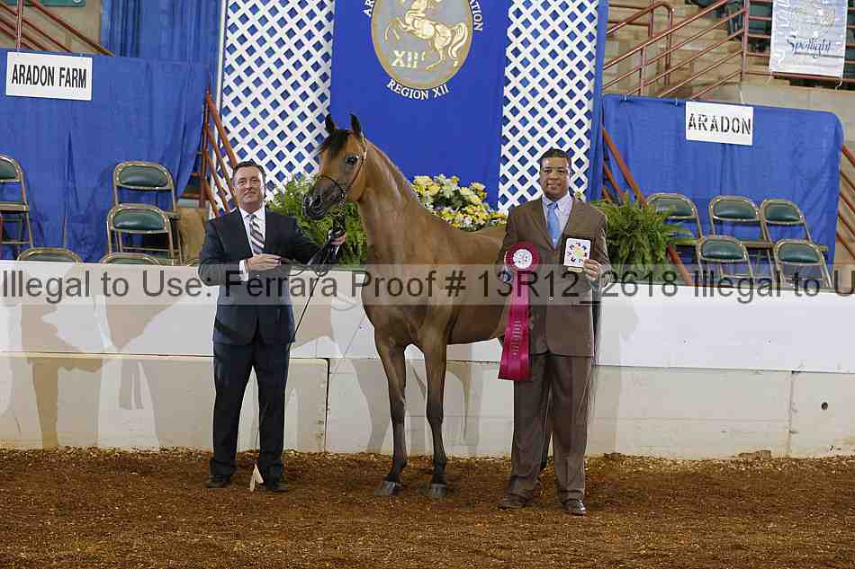 Proof Number 13r12_2618