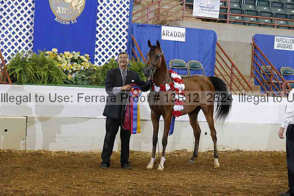 Proof Number 13r12_2624