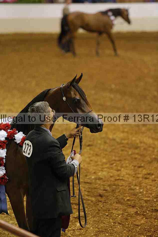 Proof Number 13r12_2625