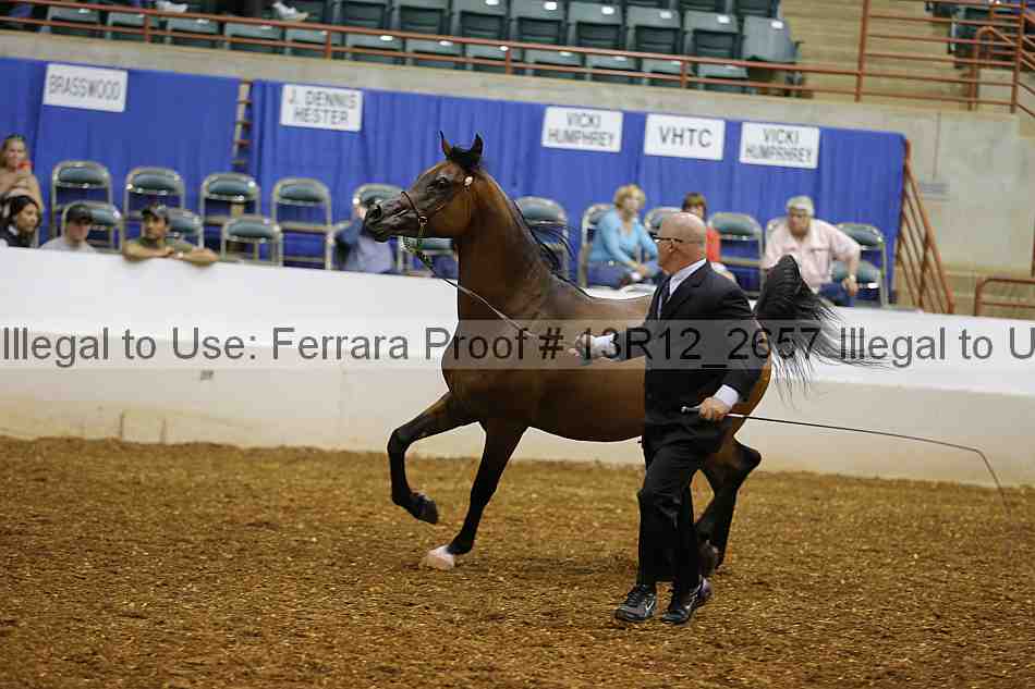 Proof Number 13r12_2657
