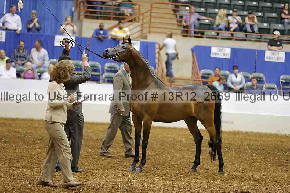 Proof Number 13r12_2669