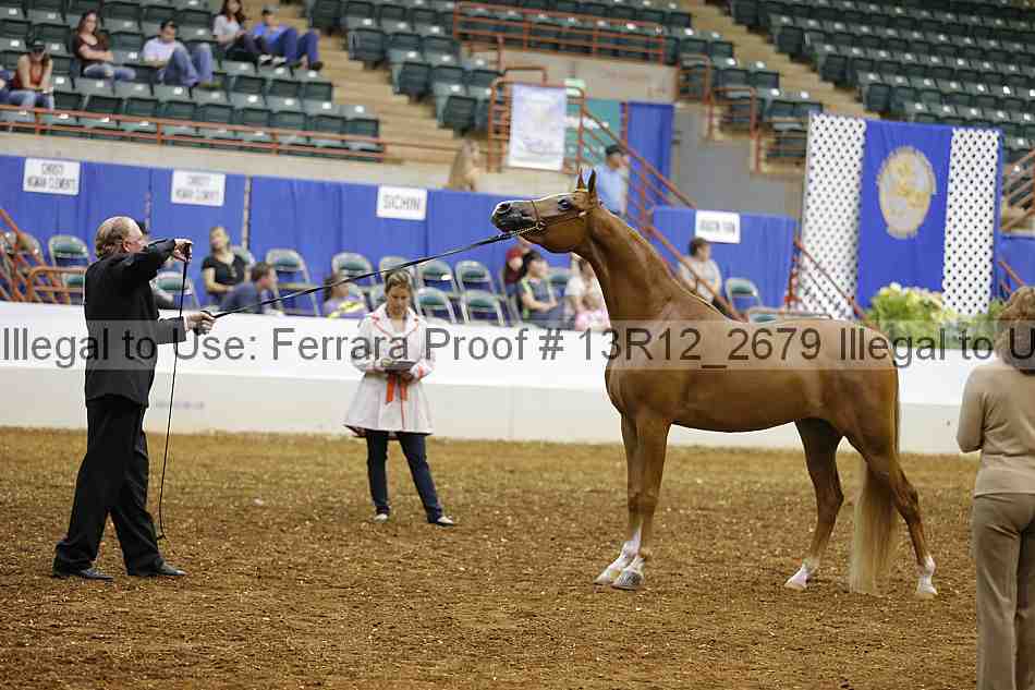 Proof Number 13r12_2679