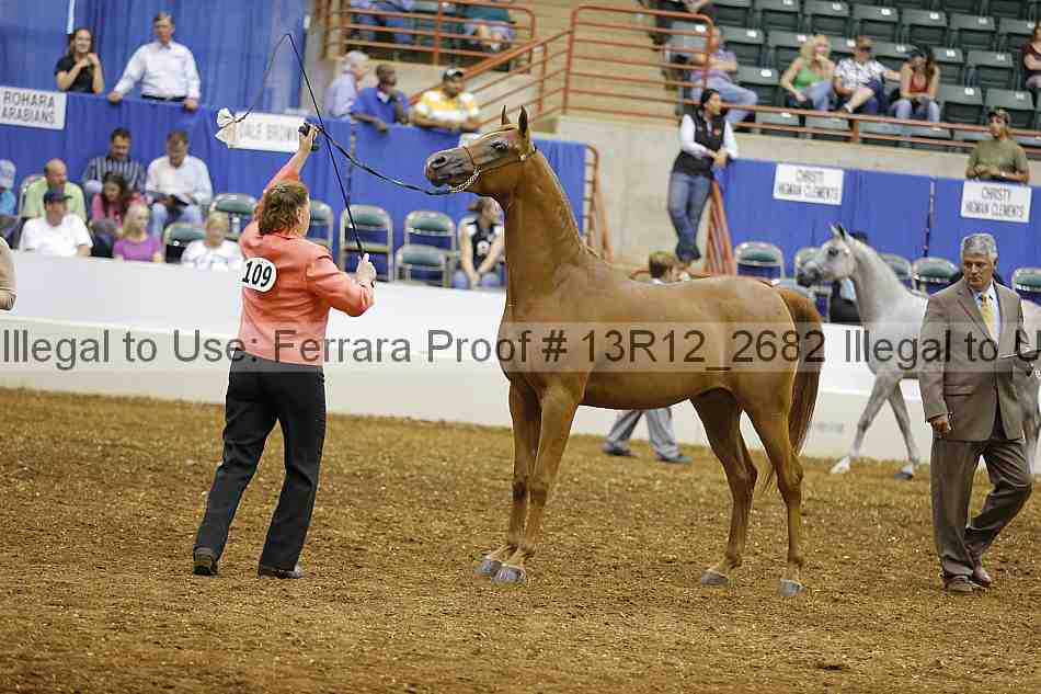 Proof Number 13r12_2682