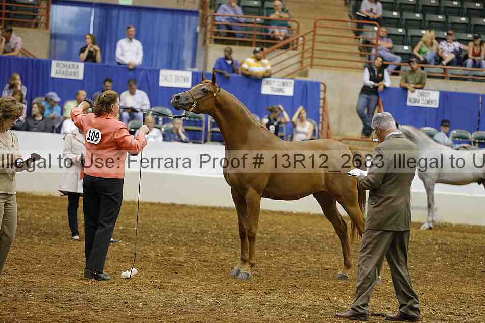 Proof Number 13r12_2683