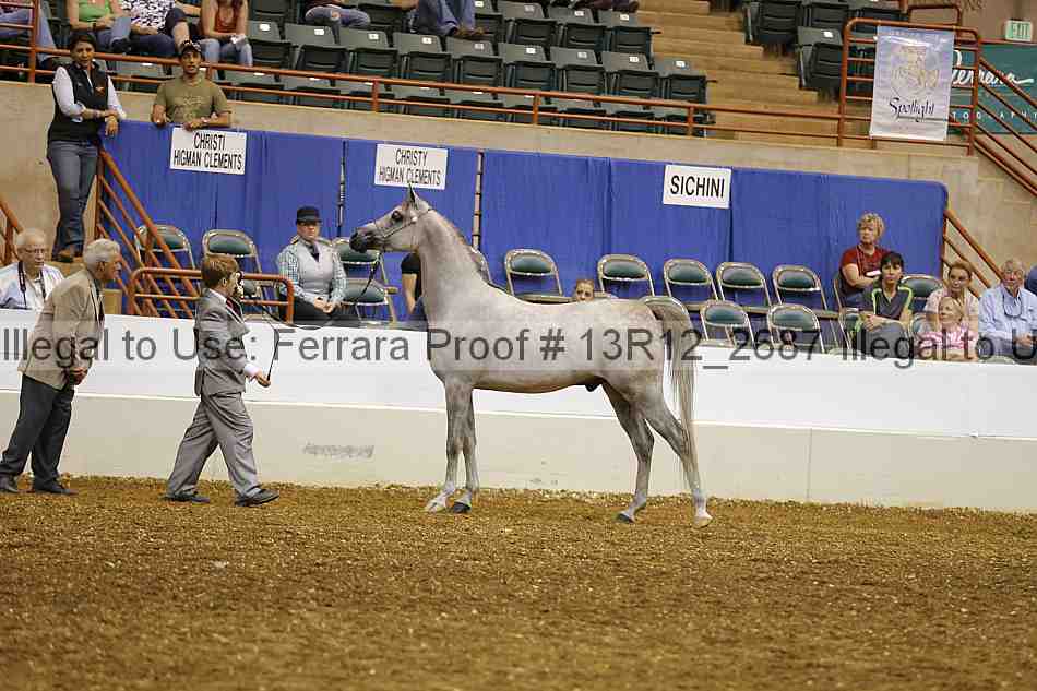 Proof Number 13r12_2687
