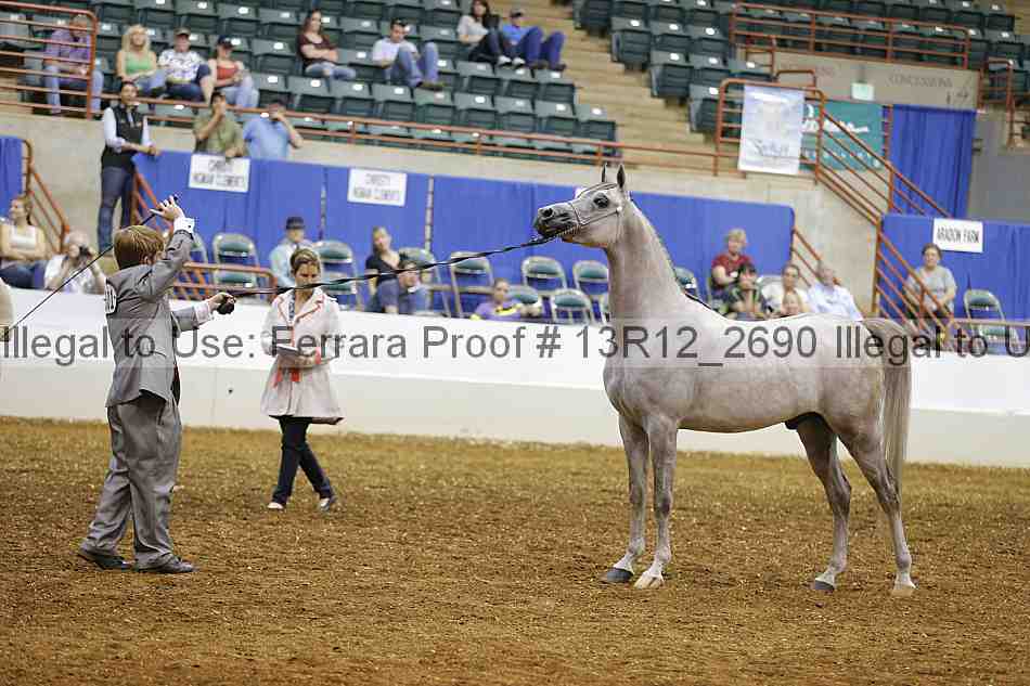 Proof Number 13r12_2690